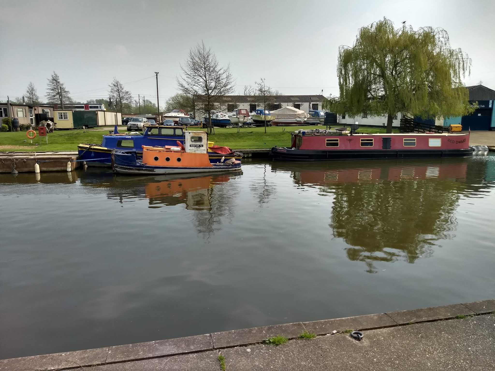 Ely Postcards 2021 – Stringrays